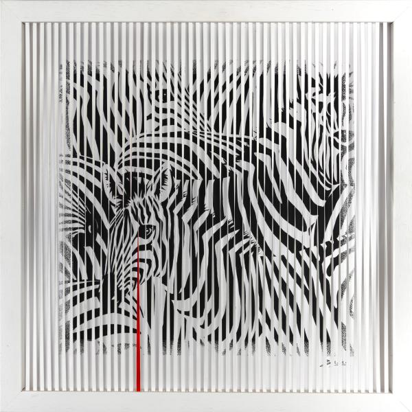 ZEBRA BIANCA